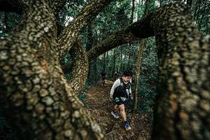 BIB: 
                            <button type="button" onclick="openModal(25393976)" class="btn btn-primary btn-sm float-right btn-popup" data-toggle="modal" data-target=".modal-high-quality">
                        <i class="fas fa-shopping-cart"></i> Add to Cart
                    </button>
                                            <button type="button" onclick="isThisMe(25393976, true)" class="btn btn-success btn-sm float-right btn-popup btn-isme hidden" data-toggle="tooltip" data-placement="bottom" title="นี่คือรูปของคุณใช่ไหม คลิกที่นี่เพื่อเอาเข้าอัลบั้ม">
                        <i class="fas fa-plus"></i> Add to album
                    </button>
                    <button type="button" onclick="isThisMe(25393976, false)" class="btn btn-warning btn-sm float-right btn-popup btn-isnotme hidden">
                        <i class="fas fa-ban"></i> Remove from album
                    </button>